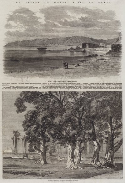 Het Bezoek van de Prins van Wales aan Egypte door Frank Dillon